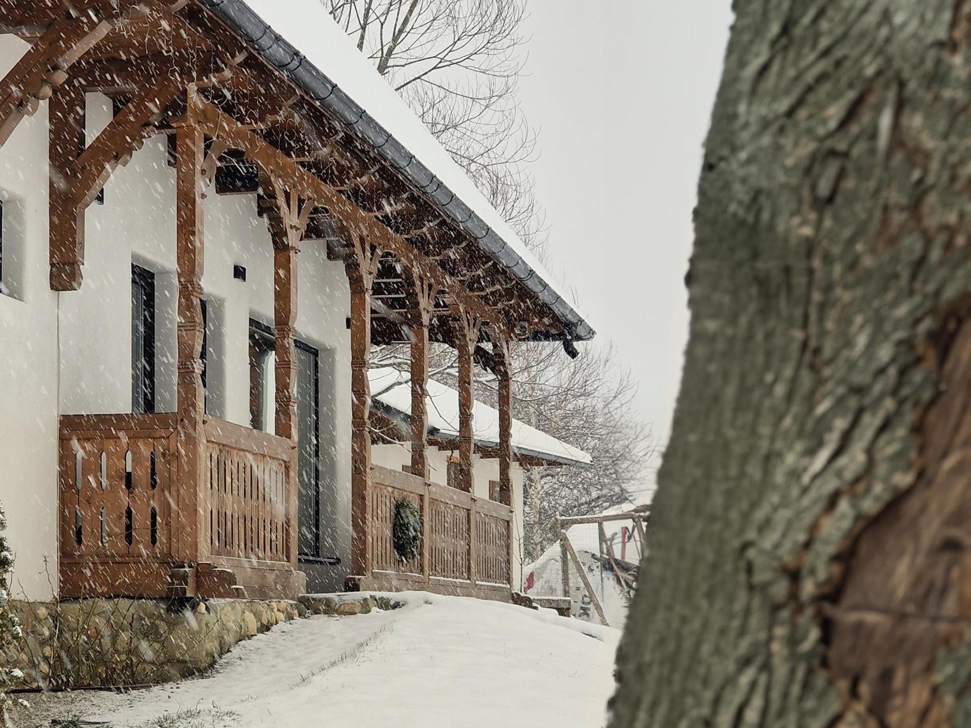 Plai Din Bran Villa Bran  Exterior photo